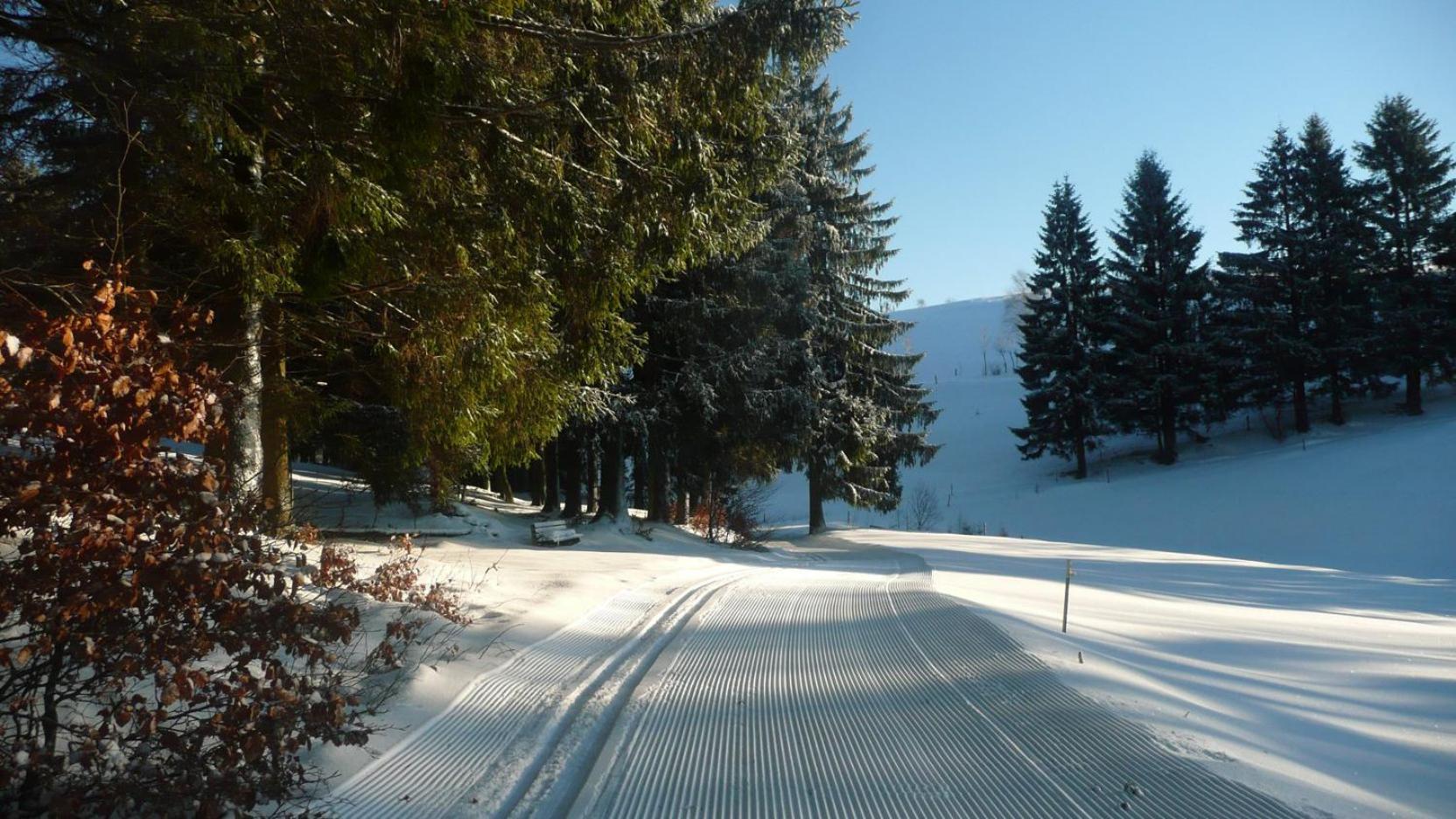 Hotel Am Tränkbachtal Frauenwald Exteriör bild