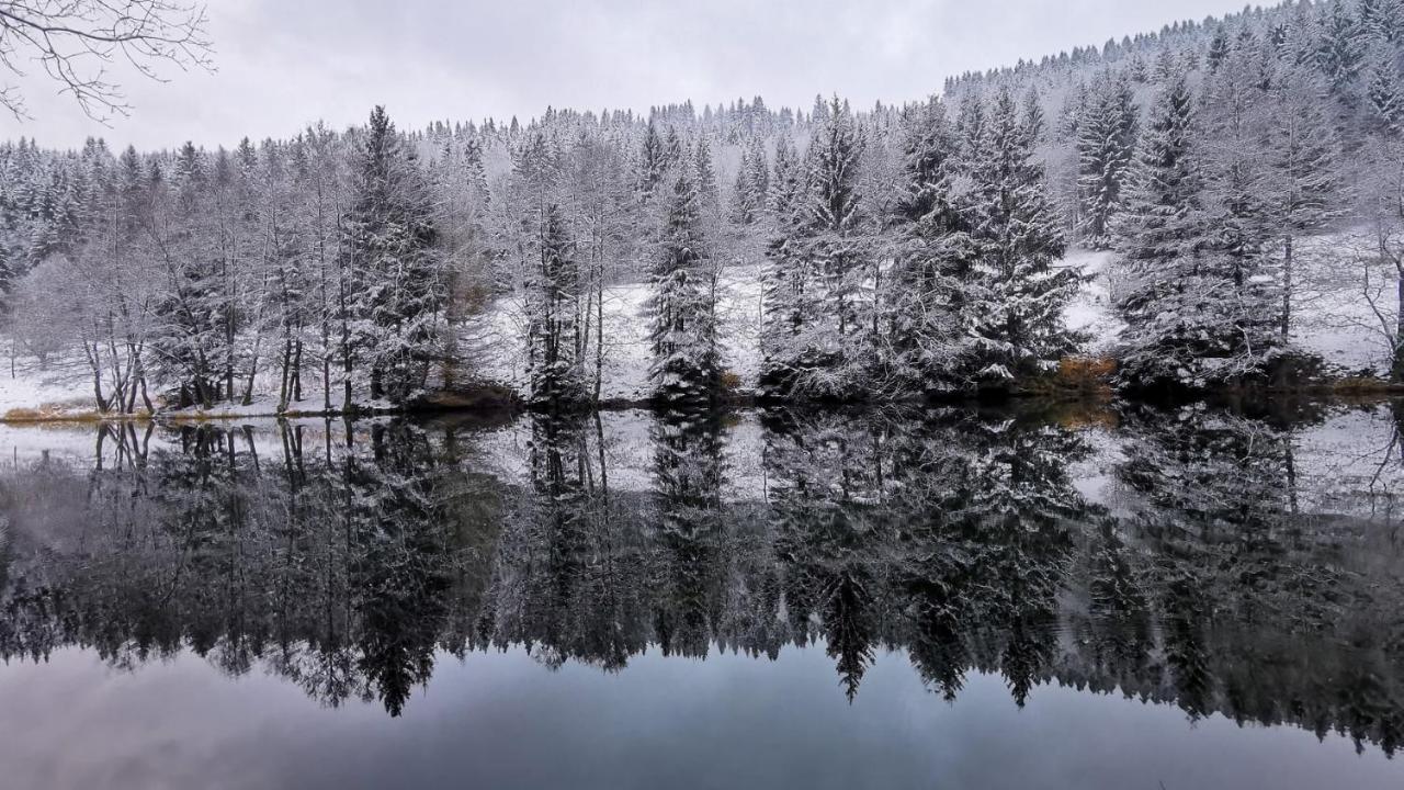 Hotel Am Tränkbachtal Frauenwald Exteriör bild